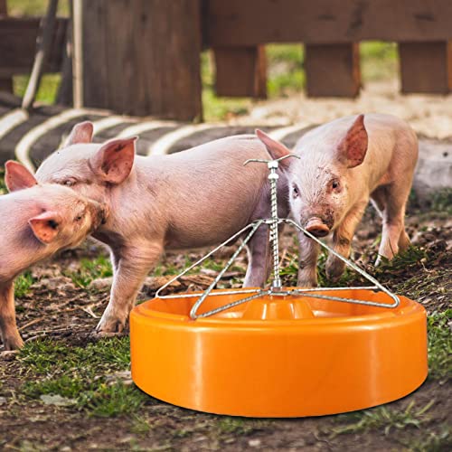 Mangeoire pour porcs avec bac à eau robuste à 5 zones