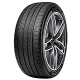 Radar Dimax AS-9 All Season 225/55R17 101V XL Passenger Tire