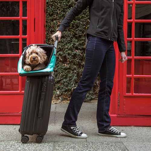 Sleepypod Air In-Cabin Transportbox für Haustiere, Rotkehlchenblau