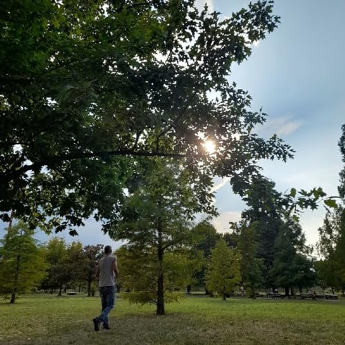 Episodio 10 - insieme: corsa e scuola guida