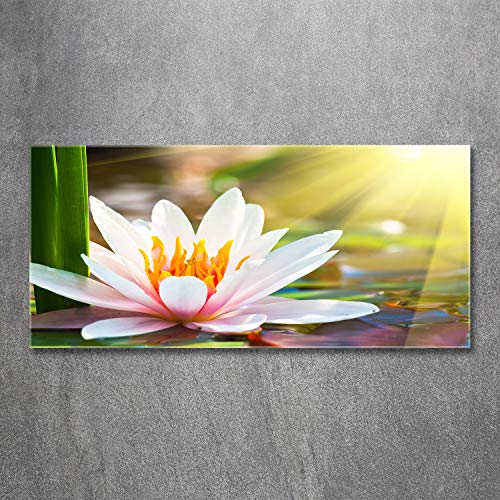 Impression sur verre 120x60 cm nénuphar multicolore fleurs