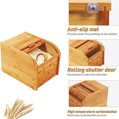 Dispenser di Riso al bambù con Coperchio, Cestino a Grana ermetica per l'organizzazione della Cucina.Include Tazza di Misurazione, Porta Scorrevole E Base Antiscivolo.Negozi Pasta, Cereali, Fagioli.