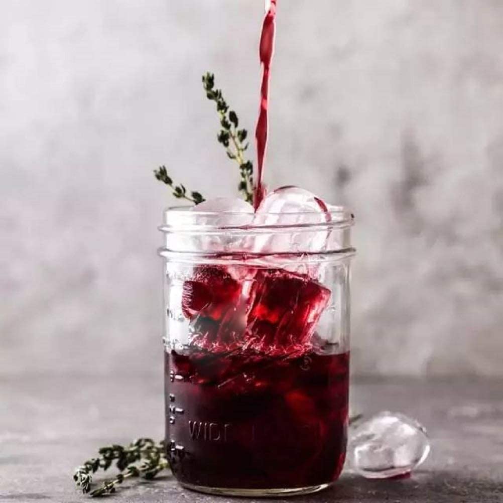 Tebery Confezione da 12 barattoli con tappo a vite per conserve, congelare, conservare, bere e decorare barattoli, 16 once (470 ml)