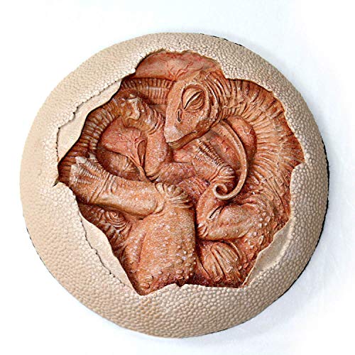 Image of TITANOSAUR Embryo