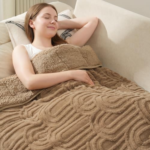 Image of Drewin Queen Size 15lbs Weighted Blanket for Adults, Brown Soft Cozy Turtleback Sherpa Weighted Blankets for Sleeping and Calming, Thick Bed Blanket for Couch Bed, 48 x 72 inches