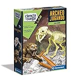 Excava en el bloque y descubre los restos del Smilodon