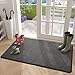 Color G Tapis Entrée Intérieur Paillasson Antidérapant 80 x 100 cm Tapis de Porte Absorbant, Lavable, Tapis pour Intérieur, Extérieur, Chambre, Cuisine, Entrée, Couloir - Noir