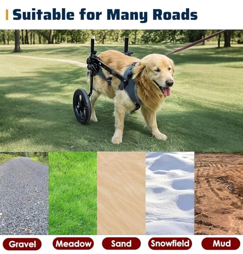 Silla de ruedas ajustable para perros y gatos con soportes para patas traseras 4