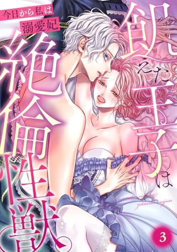 飢えた王子は絶倫性獣。今日から私は溺愛妃(3) (TL★オトメチカ)