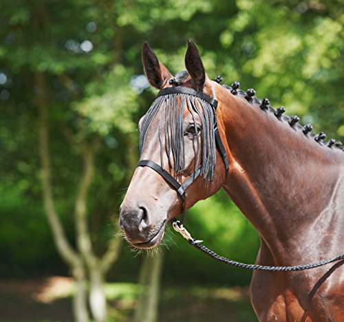 Halter para caballos pastando con flecos azul real VB Cob 4