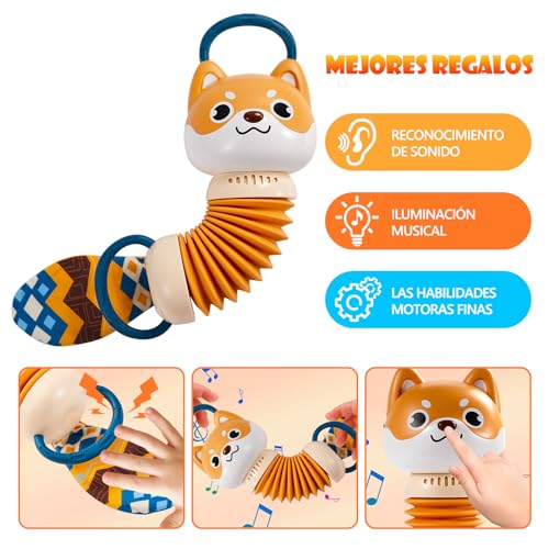 Mejores precios y opiniones de Cuánto cuesta un acordeón más recomendados. 10 Imagen adicional