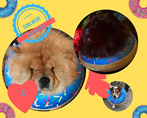 Aufblasbares Hundehalsband | Tolle Alternative zum Hundetrichter | Bequemes Genesungshalsband für große Hunde (Blau)