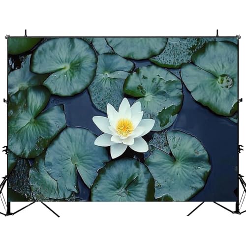 Photography Backdrop Photography Background Lilypad for Photoshoot Portrait Photo Studio