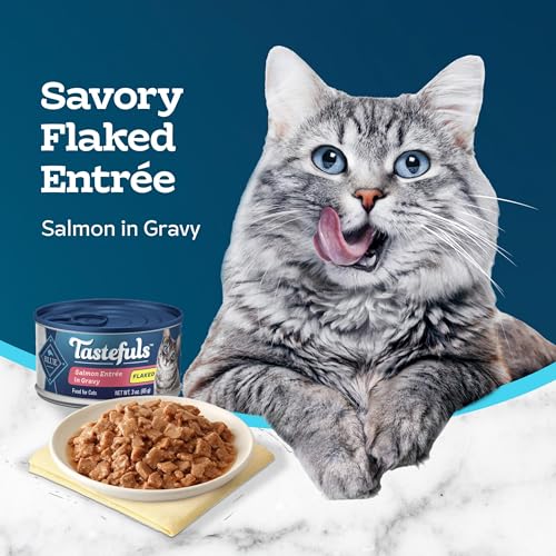 Blue Buffalo Tastefuls Salmon Wet Cat Food, 3 oz, 24 ct - image 4