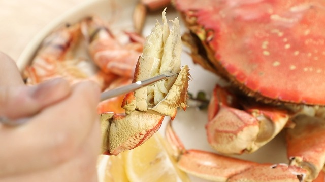 Nogeqi 4 stks Multifunctionele kreeft Crackers Handige Krabcracker