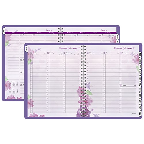 At-A-Glance Weekly / Monthly Appointment Book / Planner 2016, Beautiful Day, 8.5 X 11 Inches, Lavender (938P-905) #TOP4