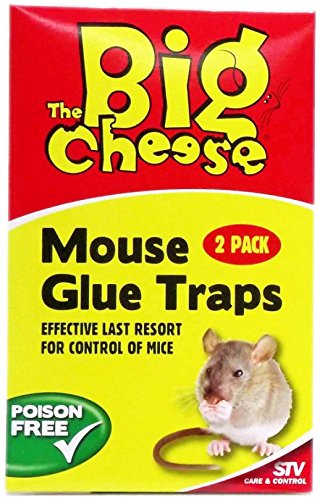 Zero In STV Mouse Glue Traps - 2 Pack | Effective Insect & Bug Repellent | Long-Lasting Protection for Indoor & Outdoor Use