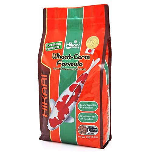 Hikari WheatGerm Fish Food