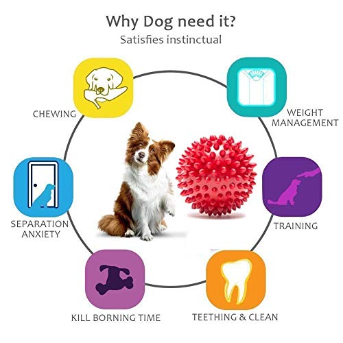 Image of Foodie Puppies Dog Rubber Chew Toy Combo (Spike Ball Toy + Hole Ball Toy) - Color May Vary