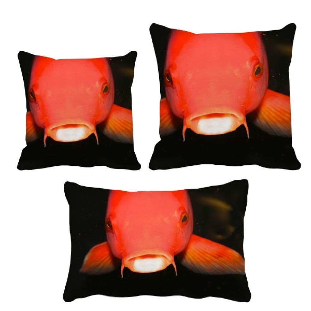Housse de coussin poisson rouge - Idée cadeau originale pour décoration de canapé