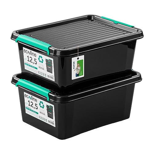 PAFEN 2x Aufbewahrungsbox mit Deckel Öko-Linie 12,5L - 40 x 30 x 16,5 cm - Boxen Aufbewahrung Stapelboxen mit Verschlussclips Kunststoffbehälter Kleiderboxen Organizer | Schwarz