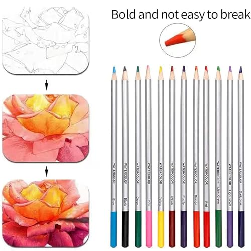 Image of Amazon Brand - Solimo 39 Pcs Drawing & Sketching Pencil Kit with Colour & Shading Pencils for Artists