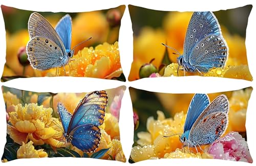 �N�b�V�����J�o�[ 4���Z�b�g ���̉� ���������N�b�V�����J�o�[ 30x50cm�A�����` �A�E�g�h�A �z�[���f�R �_�� �J�E�` �N�b�V�����P�[�X ���� ���� �k�� ������� �\�t�@�w���� �B���W�b�p�[ ���� �l�G�ʗp ���z�c�J�o�[ z-343