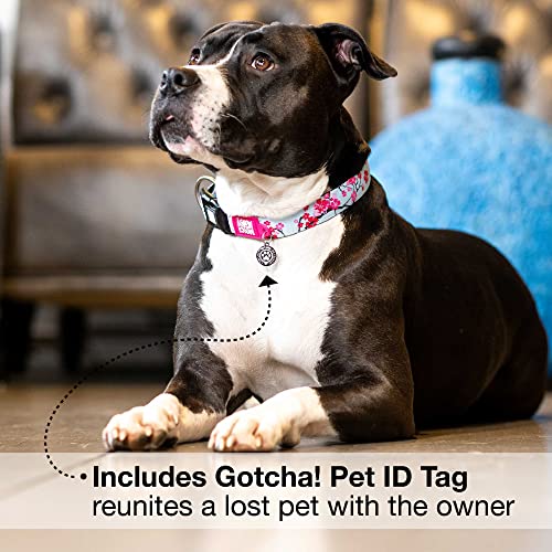 Max & Molly Gotcha! Hundehalsband Halsband Hund mit Smart ID, gepolstertes Neopren Halsband mit Design für kleine Hunde, wasserdicht, bequem, verstellbar, Cherry Bloom, S