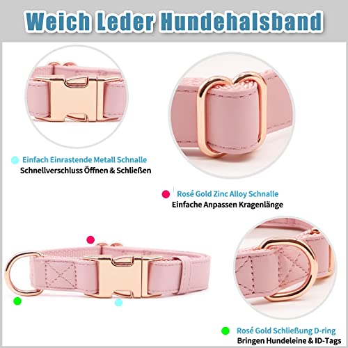 Weich Leder Hundehalsband und Leine (2m) Set - 3-Fach Verstellbar Hundeleine mit Halsband, Stilvollen Rose Gold Metall Schnalle & Nylon Hund Leinen für Welpen Kleine Mittlere Große Hunde Rosa,M