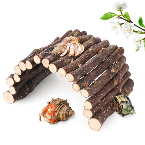 U0U Hermit Crab Climbing Toys & Hideout, Apple Wood, Small