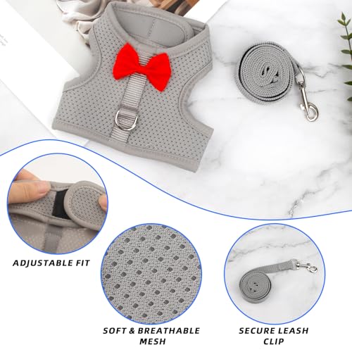 Image of Bunny Rabbit Harness with Leash, Cute Grey Adjustable Mesh Vest for Bunnies Ferret Small Pig & Squirrel Bunny Leash Vest Mesh for Walking for 5.5-10Lb Bunnies