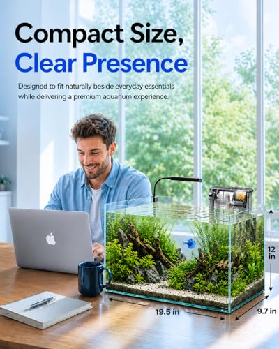 Image of 10-Gallon Ultra-Clear Glass Fish Tank Starter Kit, LED Light, Reusable 3-Stage Filter, Lid, Easy Maintenance Rimless Aquarium for Betta and Small Fish