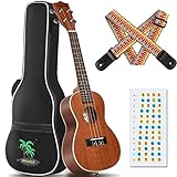 CAHAYA Ukelele Concierto de 23 Pulgadas incluye Bolsa de Transporte y Correa con 4 Cuerdas de Nailon para Principiantes Niños y Adultos Modelo CY0070