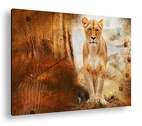 Lion solitaire cadre en bois véritable 90x60cm tableau anti-reflet