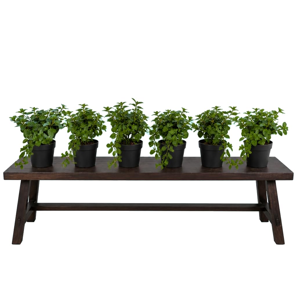 Set de 6 Flores Mentha Piperita Menta Piperita | DECOALIVE | 25-30 cm de Altura | para Balcón Luminoso