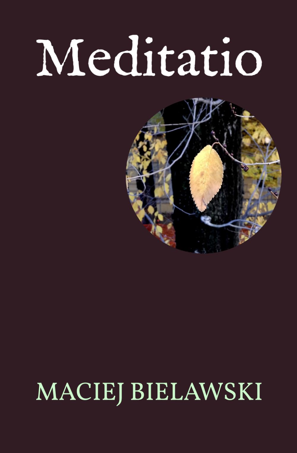 Meditatio (Sfera infinita)