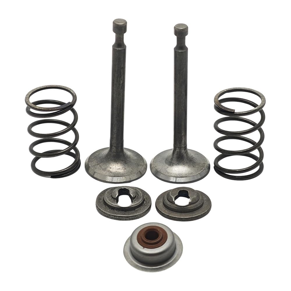 Joint de tige et ressort pour réparer une perte de puissance sur moteur GX160