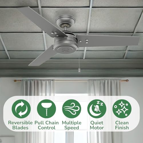 Image of Hunter Cassius, Outdoor or Indoor, Ceiling Fan, 44 inch, Matte Silver