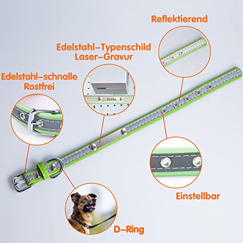 Reflektierende Hundehalsband Katzenhalsband mit Namen Telefonnummer Gravur Einstellbar Halsbänder Personalisiertes Hundehalsbänder