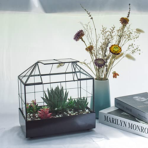 Large Tall Plant Terrarium Glass – Glass Greenhouse Terrarium With Lid And Tray,Indoor Tabletop Orchid Succulent Cacti Terrarium Kit 9.5”X9.8”X5.6” #TOP4