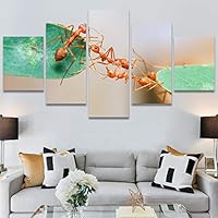SIGNWIN 5 Panel Canvas Wall Art Modern Art Ants Butterfly Colorful Insects Minimalist Multicolor Photography for Home Decorations Ready to Hang - 60