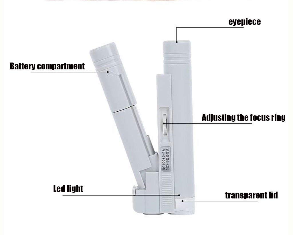 Lupa de Mano portátil Plegable X40 X80 X100X150 Luz LED Microscopio de Lupa de Gran Aumento para investigación científica Lupa iluminada (Color: X40) (X80)