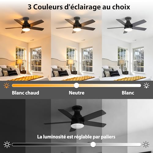 Ventilateur de plafond avec lumière dimmable pour stopper la chaleur