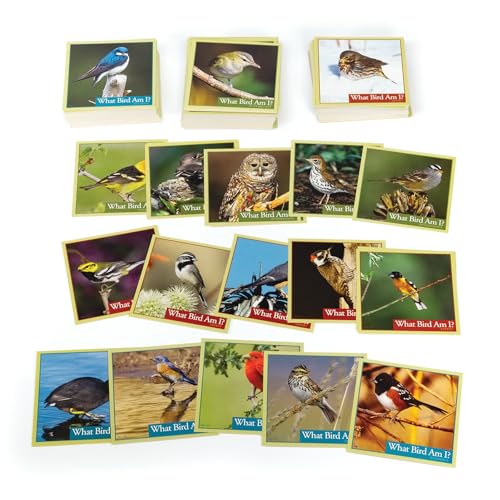 What Bird Am I? Juego de mesa para identificar aves con 300 cartas para 2 o más jugadores de 14 años en adelante miniatura 6
