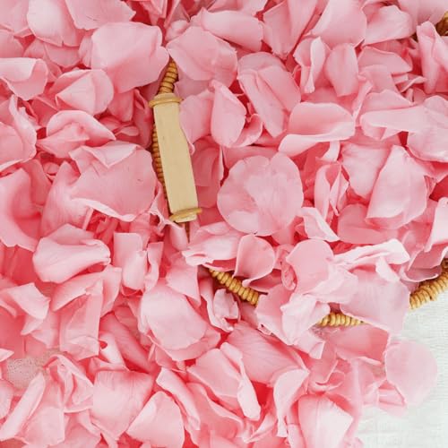 Koceko Pink Rose Petals