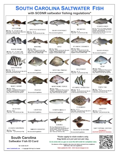 Tackle Box I.D. South Carolina Saltwater Fish