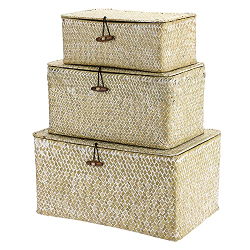 Hipiwe Set Of 3 Wicker Storage Baskets With Lid - Large Handwoven Seagrass Shelf Basket Bins Rectangular Nesting Household Organizer Boxes For Shelf Closet Wardrobe Organizer, Whitewash #TOP6