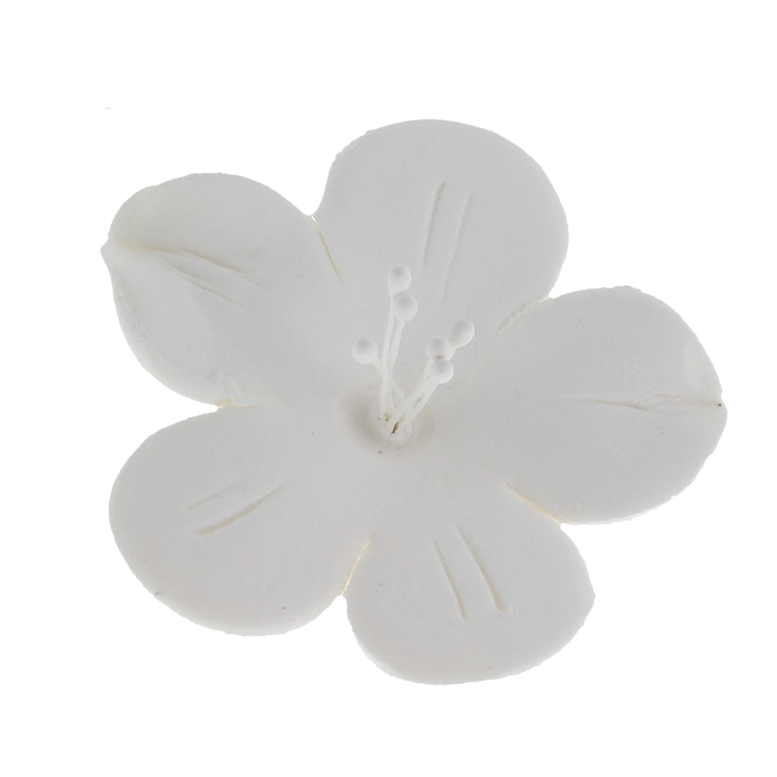 Global Sugar Art Fruit Blossom Sugar Cake Flowers, White with Wires, 12 Count by Chef Alan Tetreault