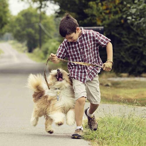 Welsberg 6 Stück Adressanhänger Adresstube Adresshülse Halsband wasserdicht Silber Anhänger für Hund und Katze Adresskapsel Ultra Leicht Adressenahänger, Silber