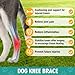 Dog Knee Brace for Torn ACL Hind Leg Support, Adjustable Dog Leg Braces for Back Leg, Cruciate Ligament Injury and Luxating Patella Recovery, Hip Brace for Dogs, Universal for All 4 Legs, XS